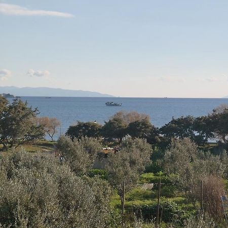 Mina'S Studios In Naxos Island Agios Prokopios  Luaran gambar