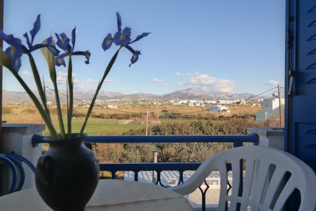 Mina'S Studios In Naxos Island Agios Prokopios  Luaran gambar
